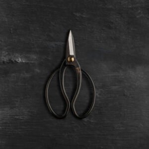 Takayuki Ueki Basami