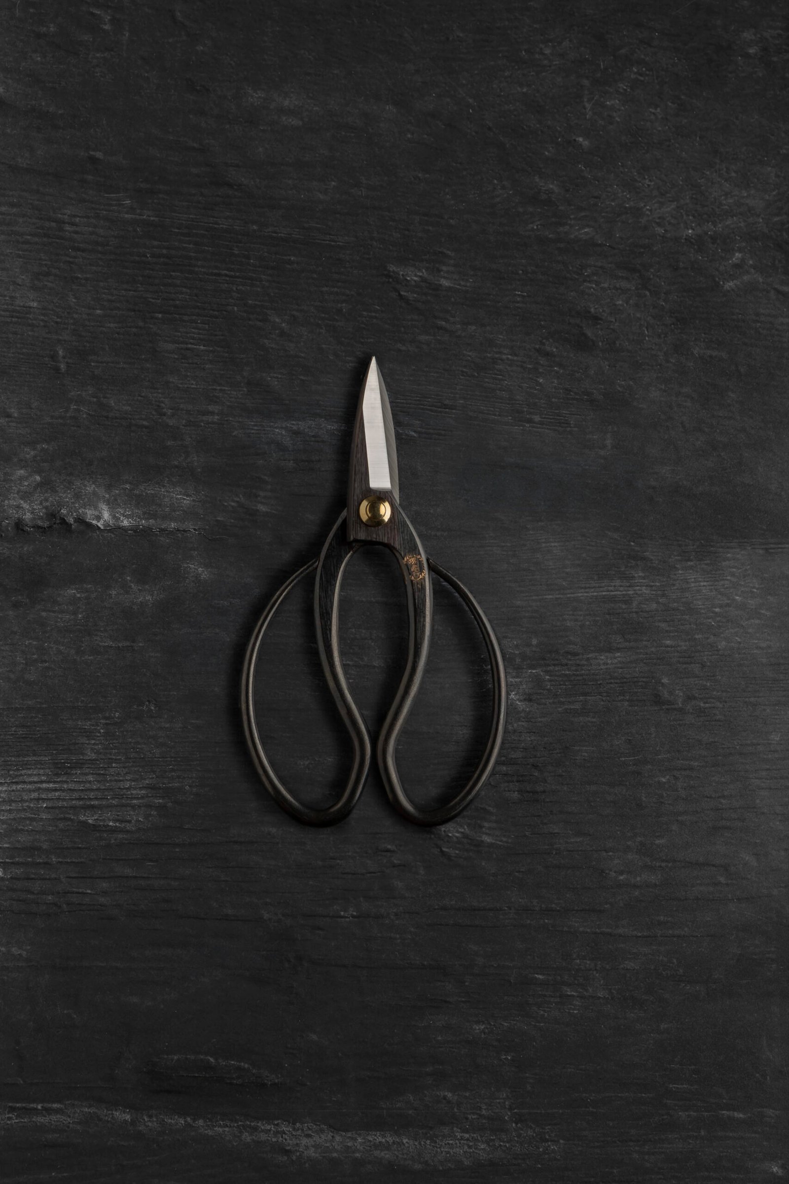 Takayuki Ueki Basami